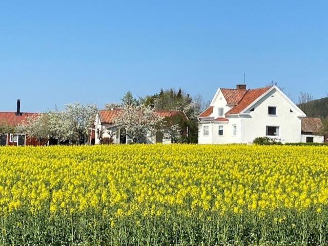 Boende I Uppgraenna Med Panoramautsikt Leilighet Eksteriør bilde